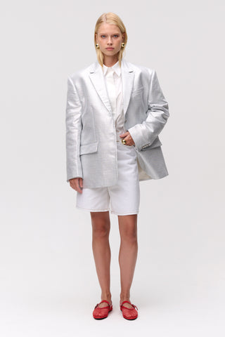 The Silver Blazer